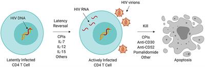 Immunotherapy in People With HIV and Cancer